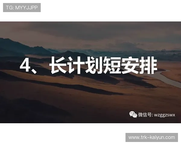 版权分发模式正向灵活授权转变，扩展变现渠道与覆盖范围。