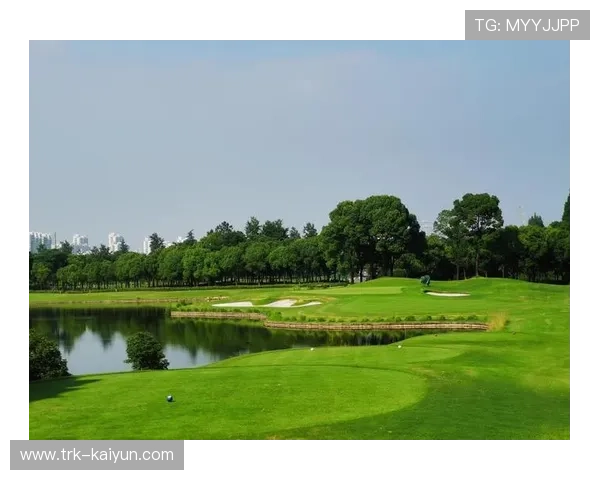 高尔夫礼仪与自律精神契合现代价值观,年轻一代视其为生活方式 高尔夫礼仪与自律精神契合现代价值观,年轻一代视其为生活方式